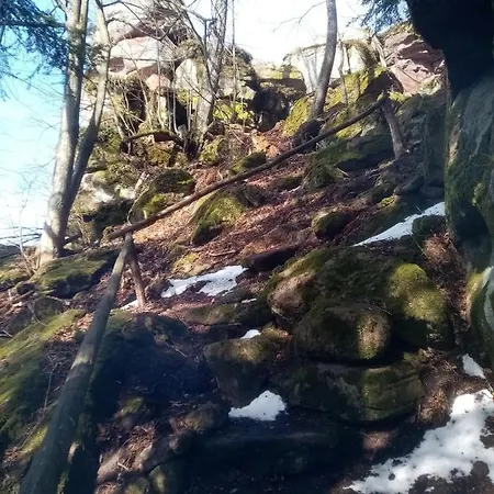 Stary Mlyn 山林小屋 克雷姆尼察