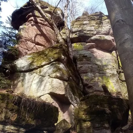 山林小屋 Stary Mlyn *