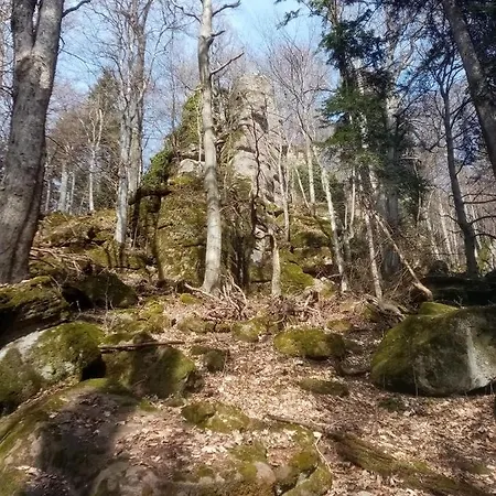 Alojamento de Turismo Selvagem Stary Mlyn *