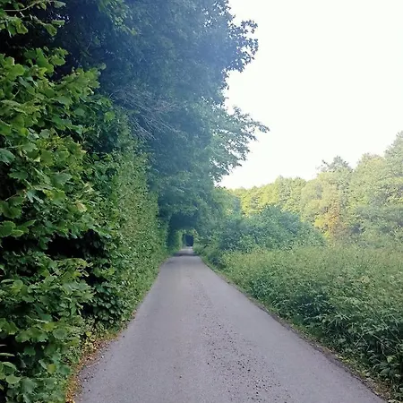 Alojamento de Turismo Selvagem Stary Mlyn